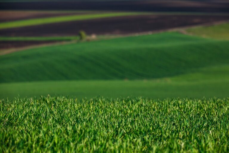 Netafim and Virridy Sign Partnership Agreement for ‘Carbon Credit Programme in Agriculture