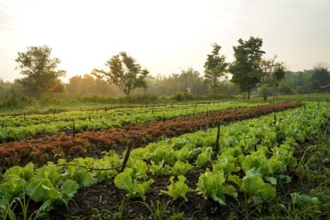 PepsiCo and National Geographic Launch ‘Food for Tomorrow’ Initiative