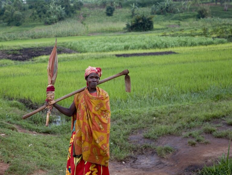 Rainforest Alliance Launches Free Human Rights Due Diligence E-Course and Toolkit