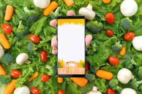 The European Union Enters the Era of Artificial Intelligence in Food Safety The TraceMap Platform Launched